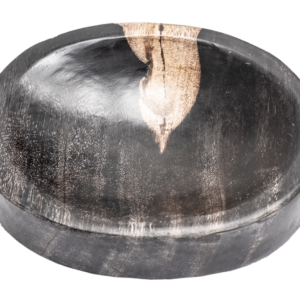 Pladenj iz okamenelega lesa ART# FSTD