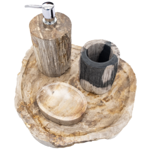 SET iz okamenelega lesa ART# SET FSB